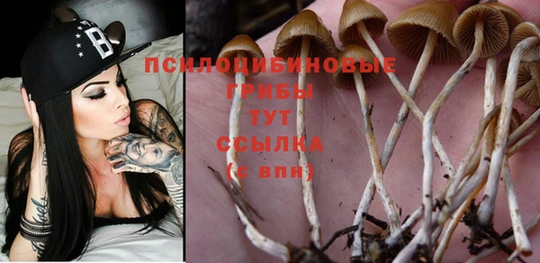 mix Алексин