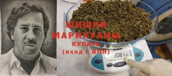 спиды Пересвет